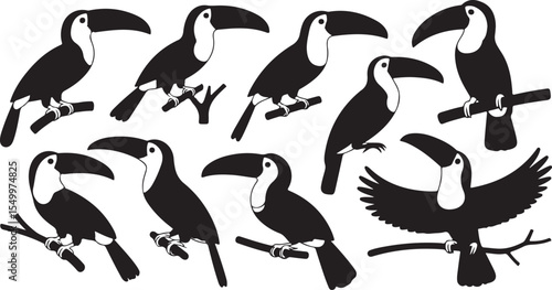 Silhouette Toucan Bird Set Vector Illustration Tropical Wildlife Exotic Fauna
