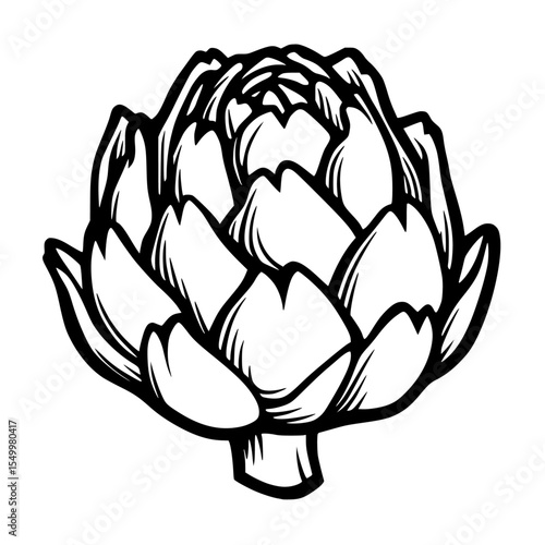 a drawing of a flower in black and white black, drawing, flower, illustration, outline, white , Generative art.