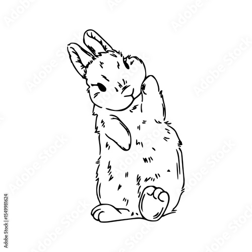 cute sitting rabbit wit raised paw