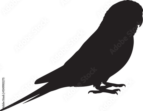 Silhouette of a Budgerigar Bird Perched Profile View Vector Illustration