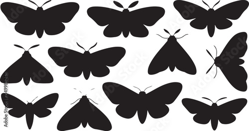Silhouette Moth Collection Vector Art Diverse Shapes Night Flying Insects