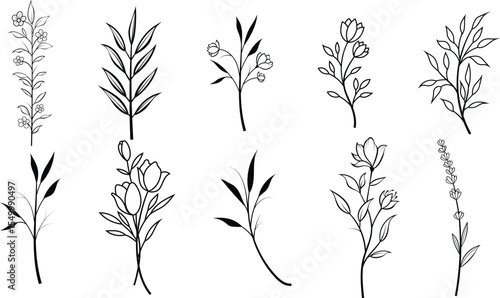 Vector set of fine line flowers. Doodle ornamental floral elements, nature botanical leaves and branches