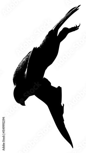 a black and white silhouette of a man and a bird bird, black, fly, jump, man, silhouette , Generative art.