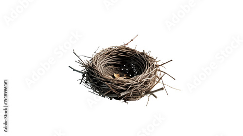 Empty Bird's Nest on Transparent background - Nature Photography