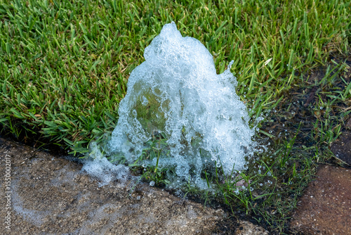 Valokuva Broken Sprinkler Head Bubbling Up in Yard