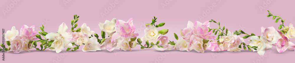 Naklejka premium Beautiful fresh freesia flowers on pink background. Banner design