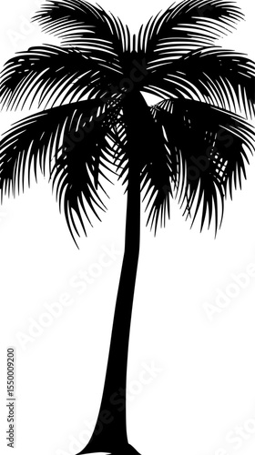 a black and white image of a palm tree black, image, palm tree, silhouette , Generative art.