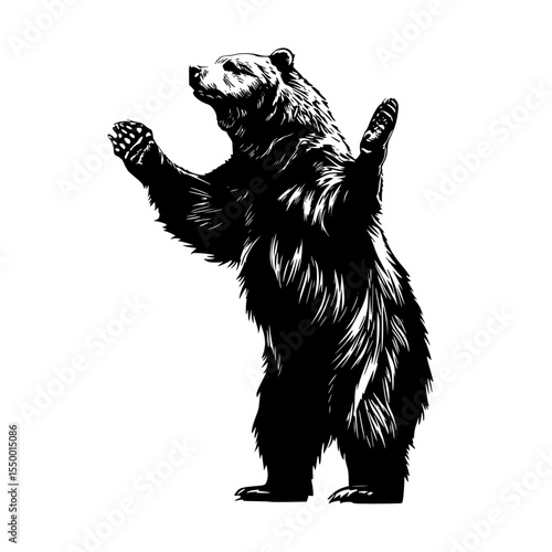 a black and white drawing of a bear standing on its hind legs bear, black, brown, drawing, hand, illustration, leg, stand, wave , Generative art.