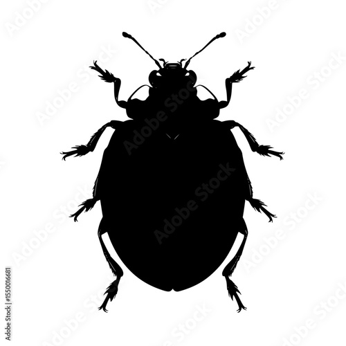 a black silhouette of a beetle on a white background beetle, black, bug, illustration, insect, silhouette , Generative art.