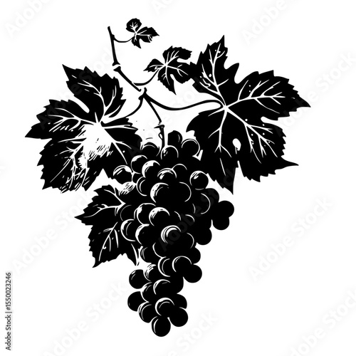 black silhouette of a vine with grapes on a white background black, branch, grape, icon, silhouette, vine , Generative art.