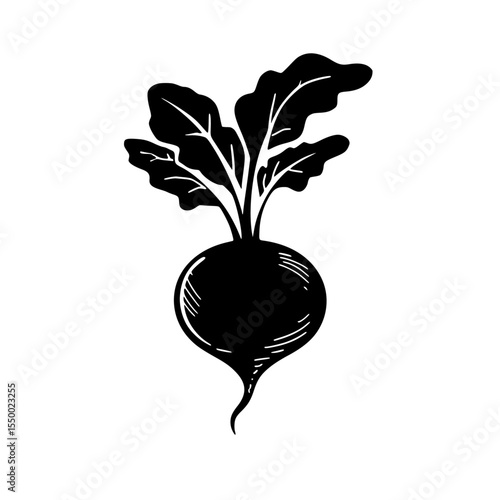 a picture of a radish in a flat style black, flat, icon, illustration, picture, radish, style , Generative art.