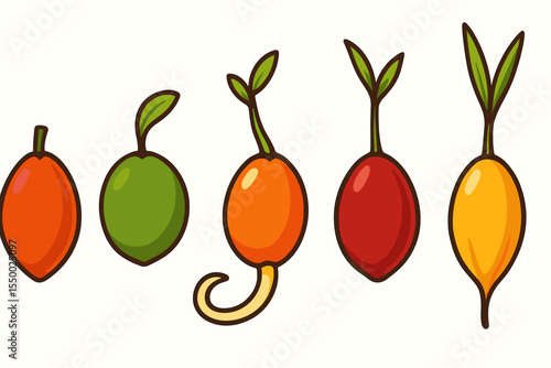 Colorful cartoon palm seeds vector set, growth stages progression with green, orange, red, and yellow seeds sprouting leaves, isolated on white background, botanical tropical illustration