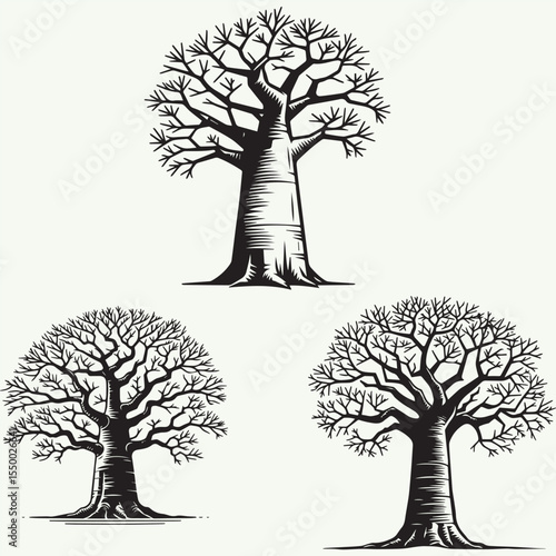 Iconic Baobab Tree vector design,African baobab tree bold silhouette vector on white background. Tree Silhouette.