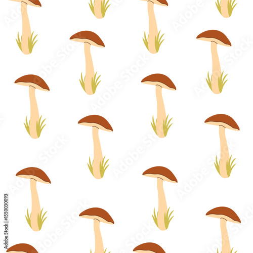 Seamless pattern of forest mushrooms and oak leaves. Botanical illustration. Vector