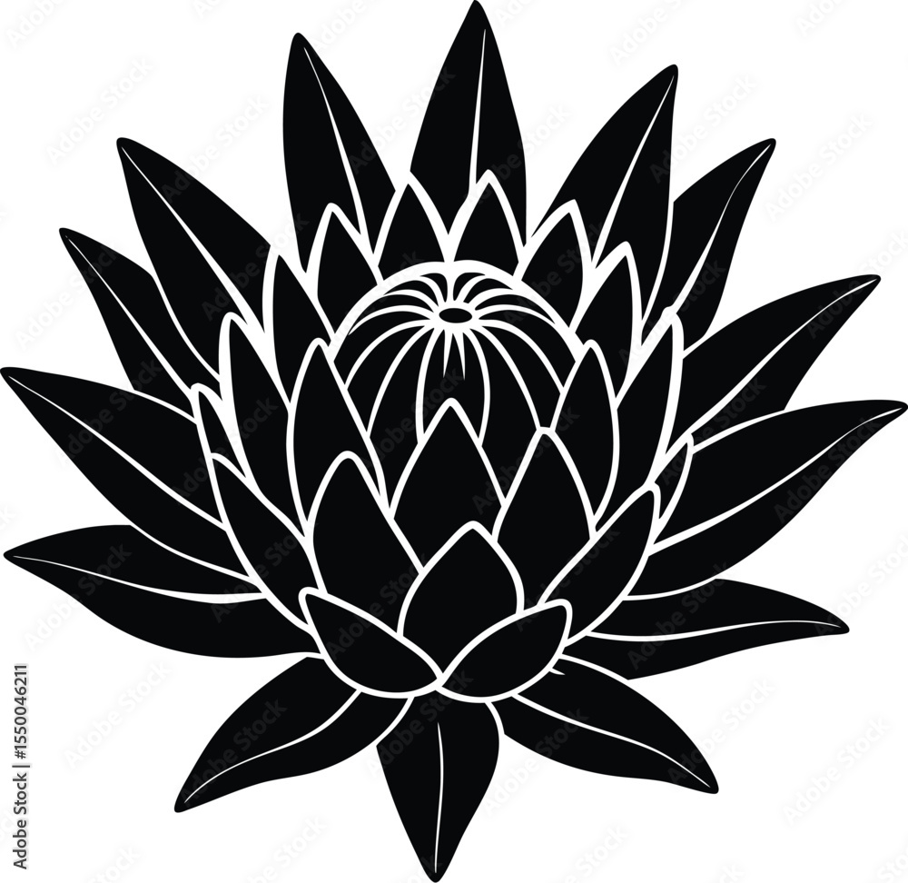 Fototapeta premium Lotus Flower Line Art