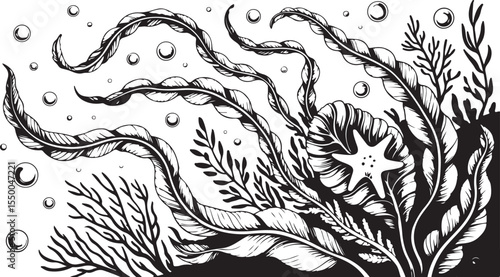 This image features an array of stylized underwater plants, including wide-bladed and branching varieties, adorned with bubbles and a starfish, all rendered in black and white line art with a textured