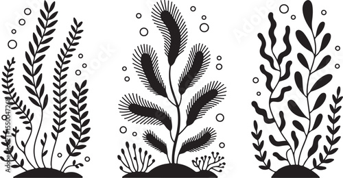 This image features three stylized underwater plants, two with branching foliage and one with broad, fringed leaves, along with floating bubbles, all rendered in black and white.