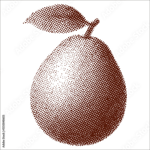 Plum illustration: A charming illustration of a ripe plum, its smooth skin and delicate leaf hinting at freshness and natural goodness.