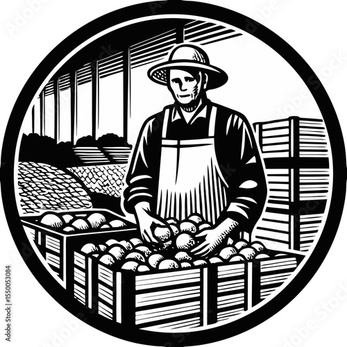Farm Apple Harvest