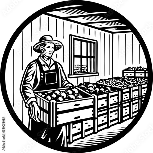Farm Potato Harvest