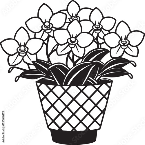 Beautiful pink and yellow floral bouquets, a delicate orchid in a decorative pot, and diverse blossoms bring the beauty of nature to life