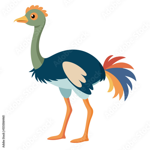 vector illustration of an ostrich