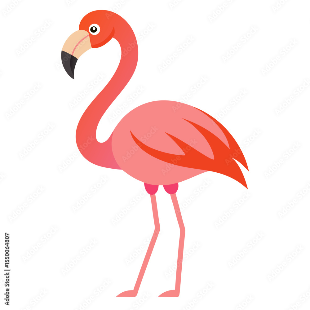 Obraz premium flamingo on white