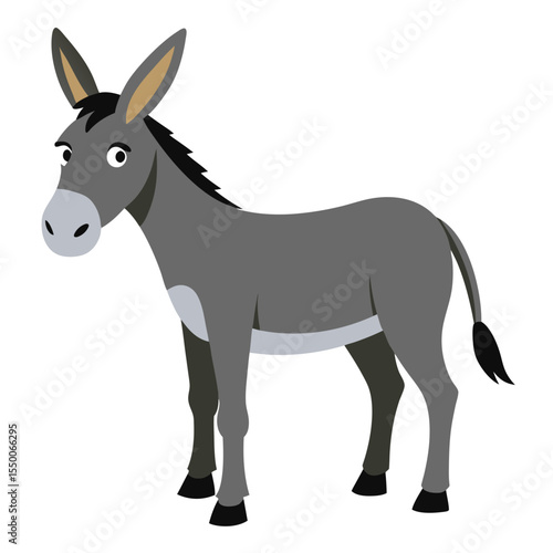 donkey isolated on white