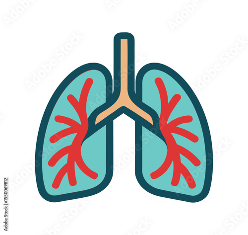 human heart anatomy vector