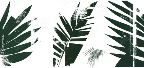 set of tropical leaves grunge vector design