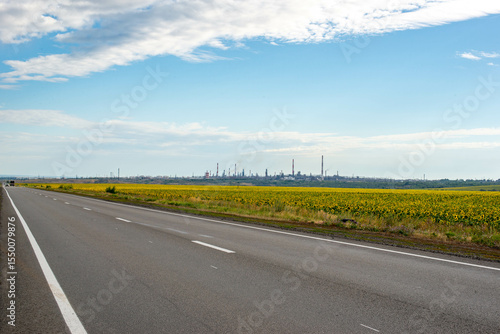 Beautiful road and fields green and yellow