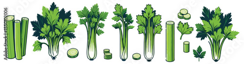 Vector set of celery