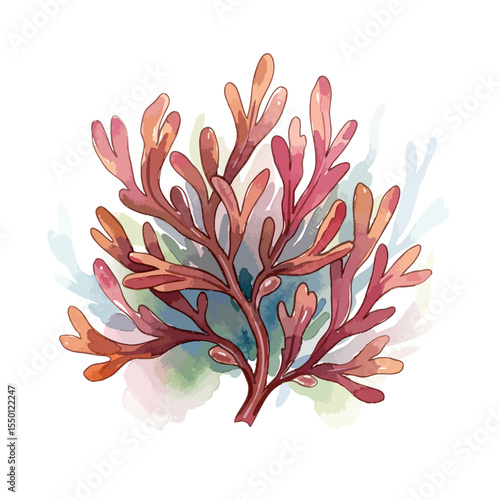 Dulse Isolated on Transparent PNG Background- Watercolour Art