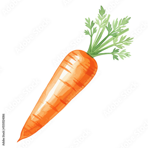 Single Carrot Isolated on Transparent PNG Background- Watercolour Art