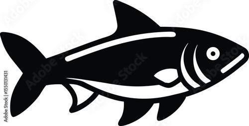 Detailed illustration of a mahseer fish a large freshwater game fish known for its beauty