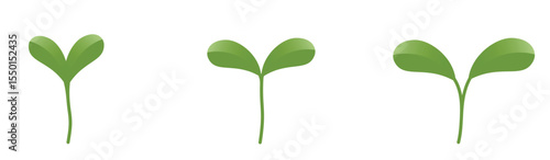 Green plant seedlings with two leaves. Spring, planting and nature design elements. Isolated vector illustrations