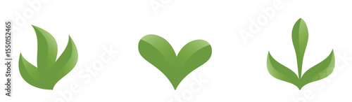 Green spring plants illustrations. Sprout, planting and nature design elements. Isolated vector images