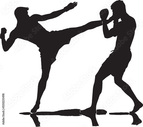 Silhouette of two martial artists sparring with a kick and a block