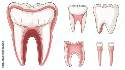 Dental Care Flat Vector Illustration Design for Health Professionals and Clinics