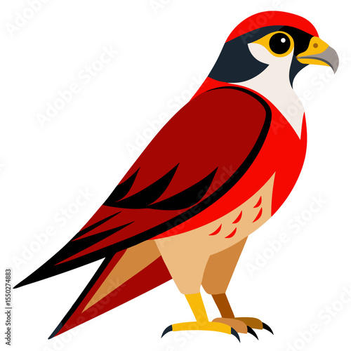 Red-necked Falcon — Minimalist Vector Silhouette