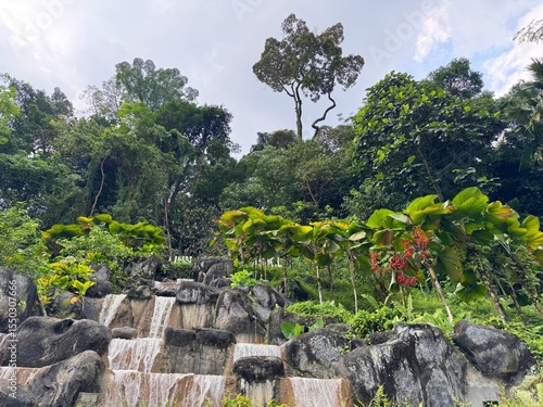 Photography KL Forest Eco Park — Urban Rainforest in Kuala Lumpur, Malaysia
