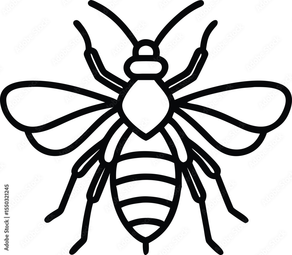 Fototapeta premium bee line art 