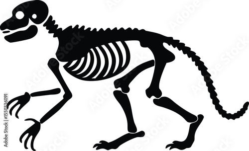 skeleton of monkey animal silhouette
