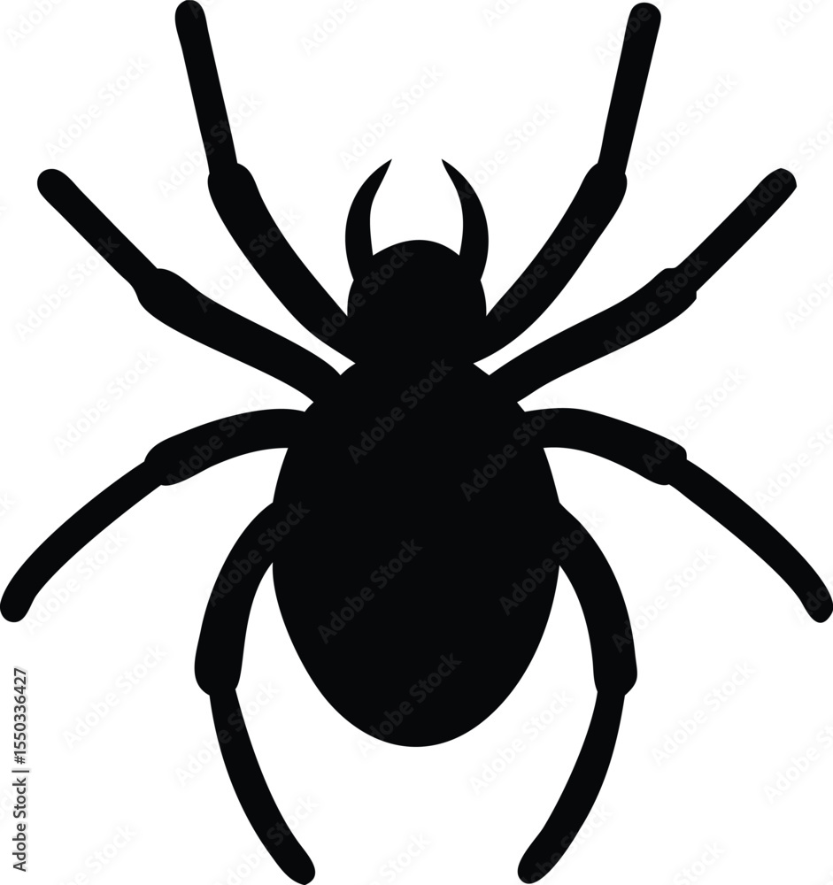 Obraz premium spider silhouette