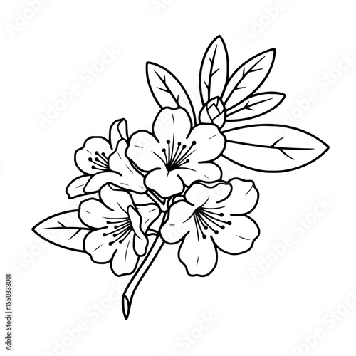 Line icon of a blooming rhododendron flower branch in minimalist black and white design  