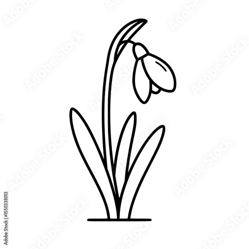 Black and white line drawing of a snowdrop flower in minimalistic style  