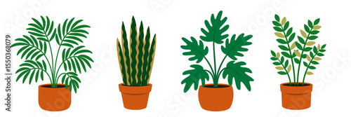 Vector fancy botanical illustrations of philodendron palm, sansevieria, Philodendron Xanadu, and zamioculcas Potted houseplants for print poster