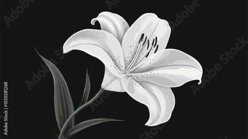 Delicate Floral Decoration with Lily Flowers in Nature