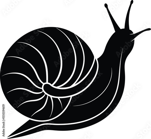 Snail Silhouette