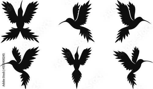 Elegant Hummingbird Designs